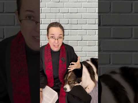 Bible Chat Luke 9: 18-62