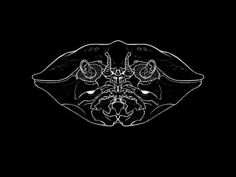 Digital Insanity - Festival Promo