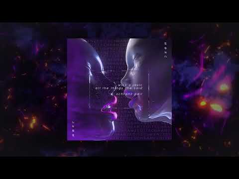 Wick x Jasic - All The Things She Said (Schranz Edit) [MORC009]