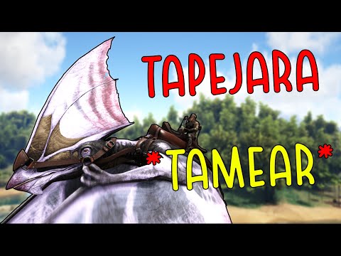 COMO TAMEAR un TAPEJARA de la manera más FÁCIL - ARK