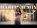 Desert Echo Nights Arabic EDM X Balkan Club Mix 2025