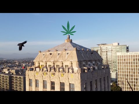 The Koreatown Oddity -  Kimchi