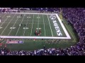 Baltimore Ravens Fan Streaking