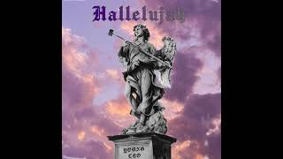 Hallelujah Music Video