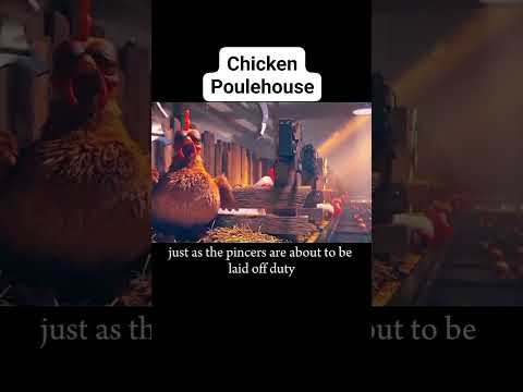 Chicken Poulehouse 🐔