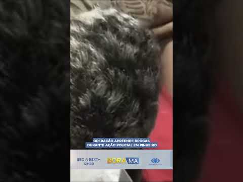 OPERAÇÃO APREENDE DROGAS DURANTE AÇÃO POLICIAL EM PINHEIRO