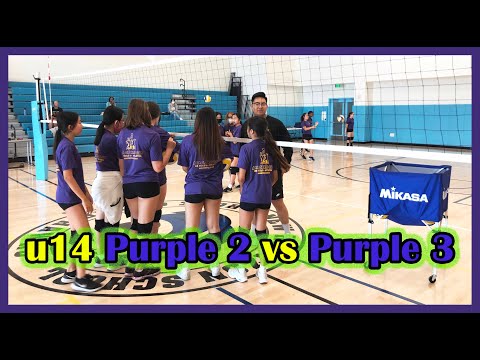 u14 "Purple" 2 vs. "Purple 3" 6-4-22