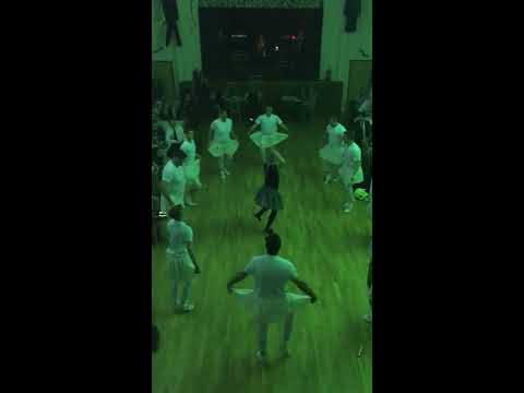 Labutí jezero na plese SDH Březno 24.2.2018