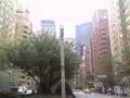 Park Avenue New York City