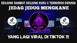 Download lagu DJ SEUJUNG RAMBUT SEUJUNG KUKU REMIX FULL BASS VIRAL TIKTOK TERBARU 2022 | DJ TITIP CINTAKU mp3