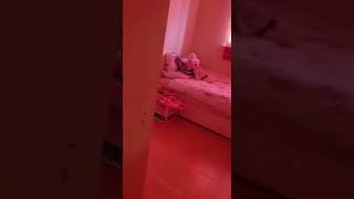 82, Harris Road, Armthorpe, Doncaster, DN3 2FE