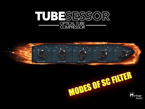 Zuhal Youtube Videos