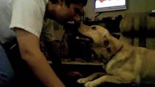 Why won&#39;t you talk to me?