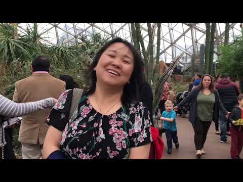 image-How old are the Mitchell Park Domes?