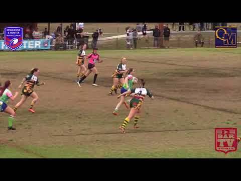 2018 NHRL - LLT B Grade Preliminary Final Highlights - Swansea v Stroud