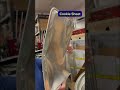 In Honor Of ExtremeRules We Went To The WWE Warehouse To Find The Most EXTREME Items Possible