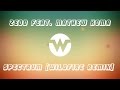 Zedd - Spectrum ft. Matthew Koma (Wildfire ...
