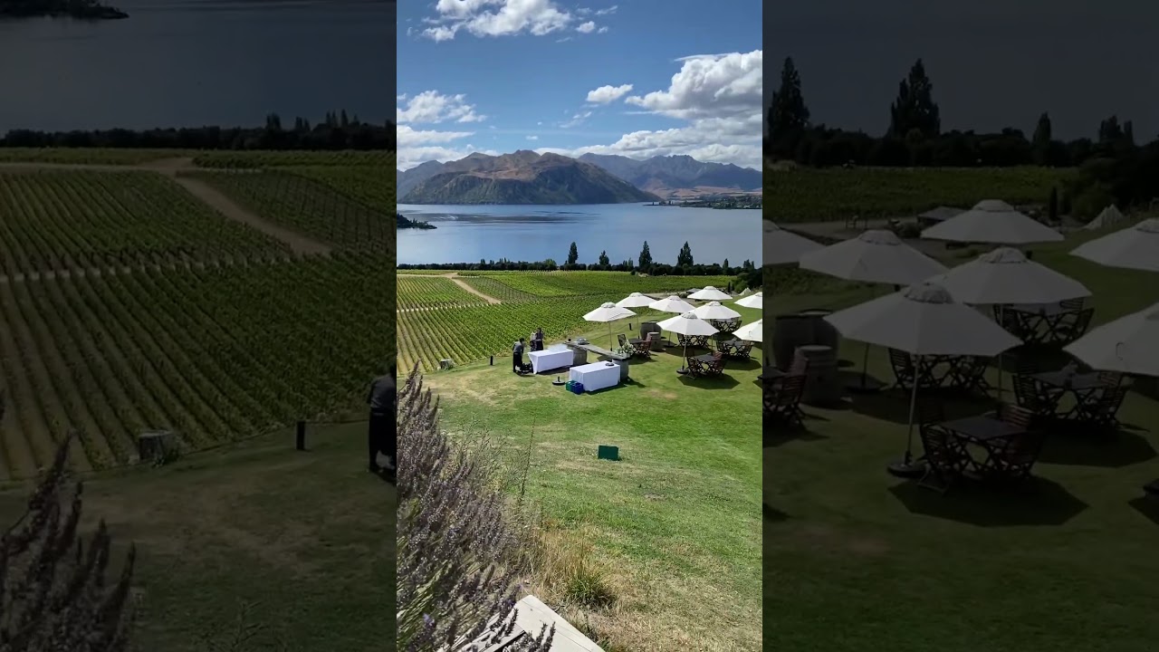 YouTube Short thumbnail