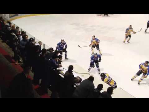 AV19 -BRA 6:1 (MOL169 - 20160204)