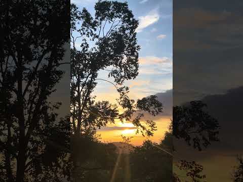 Lámbari  Minas Gerais
