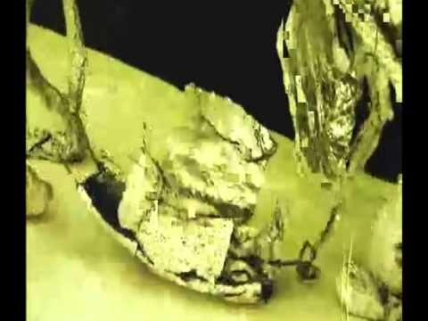 Acyl - The Birth Of An Idea