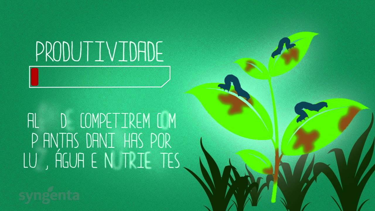 Por que usamos Agrotóxicos?