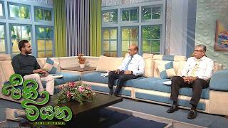 Pini Viyana – 2026-07-06