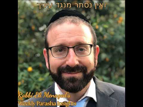 Devarim 5785 - Part 1 - The Fifth Book, The First Voice: The Special Status of Sefer Devarim