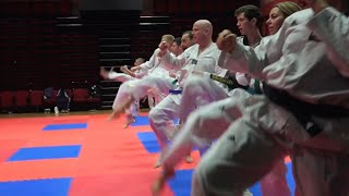 preview picture of video 'Seminar Taekwondo Ireland 2014'