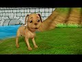 சிந்தித்து செயல்படு நீதி கதை Tamil Stories For Kid