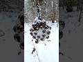 My wife made me throw a magnet into the snow and I didn't expect to find them.