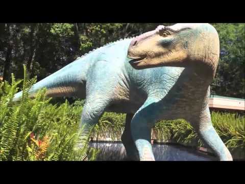 Dinoland USA Walkthrough POV, Disney's Animal Kingdom