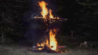 LA MUERTE - SUIS-JE UN ANIMAL? (OFFICIAL)