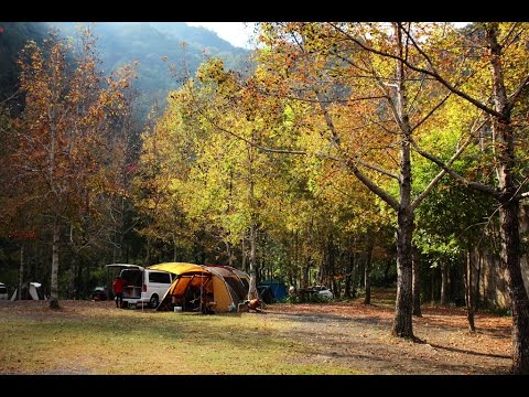 新竹尖石-美樹營地露營