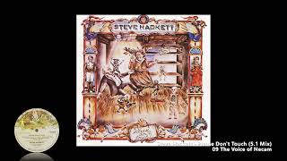 Steve Hackett - 09 The Voice of Necam (5.1 Mix)