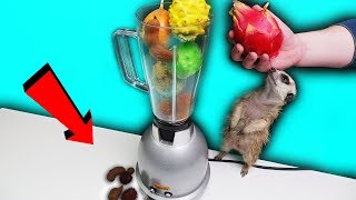 ЧТО ЕСЛИ СМЕШАТЬ в БЛЕНДЕРЕ самые ЭКЗОТИЧЕСКИЕ ФРУКТЫ ?! ПЕПИНО, ДРАКОН и КАКТУС ПЛОД ..😩😩
