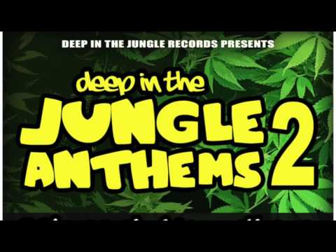 Hungry T - Space Chase ( Deep In The Jungle )