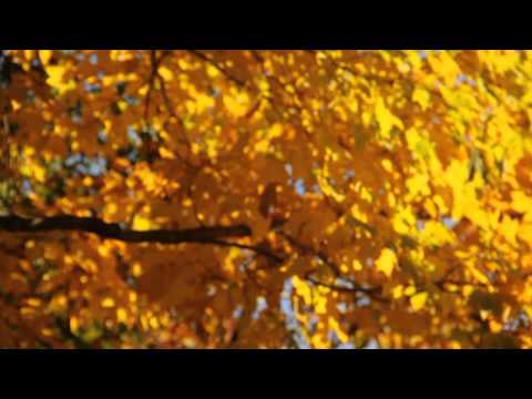 smile through the tears " within I shine "