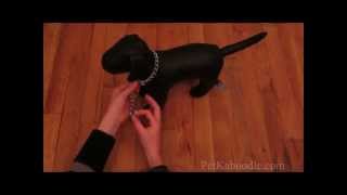 How To: Put On & Use A Choke Chain Dog Training Choker Collar