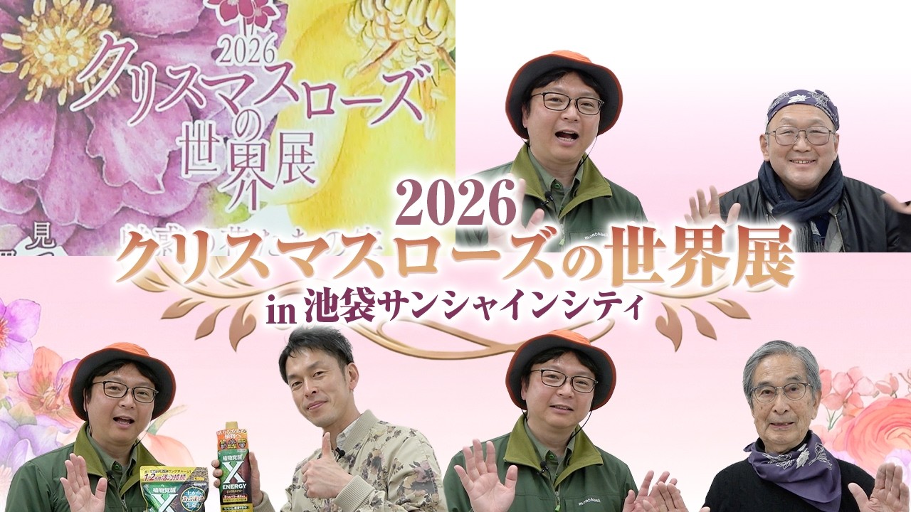 2026クリスマスローズの世界展 ＜＜ プロにX-ENERGYについて聞いてみた＞＞～ガーデンドクターTV82