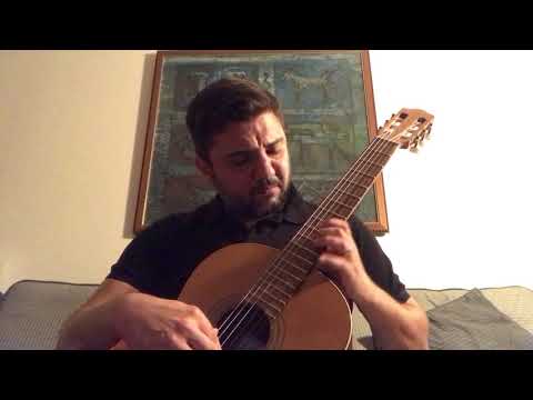 Stars of the Sinai Desert