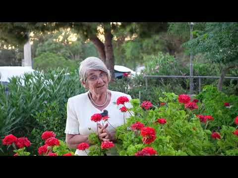 DİZLERDEKİ AĞRI NASIL GEÇER??? EKLEM BAĞLARI NASIL GÜÇLENİR???