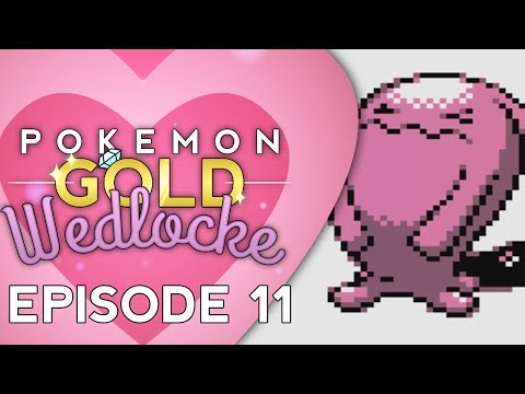 Pokemon :: Gold Wedlocke :: EP - 11 :: The Suffering Arrives