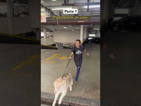 Who walks their dog? @marcotuliodavi #shorts