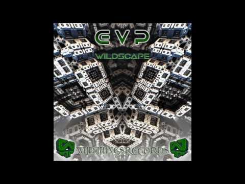 E.V.P. - Forest Cats