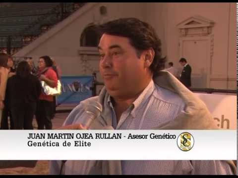 Juan Martin Ojea Rullan - Asesor Genético - Genética de Elite