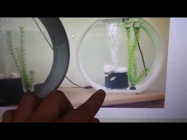 My betta fish - Update nr 4 (New tank for Grimm!)