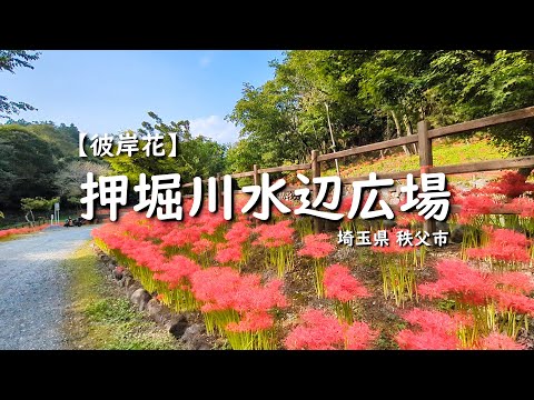 jardin avec piscine hors-sol-bel-eclairage-mosaique-revetement-exterieur