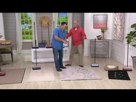 Bissell Set of 2 Lightweight Manual Floor Sweepers on...