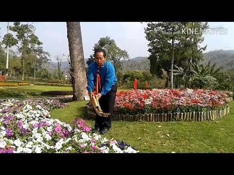 06/04/2020 Qeej xub rug by xov ntxiag hawj